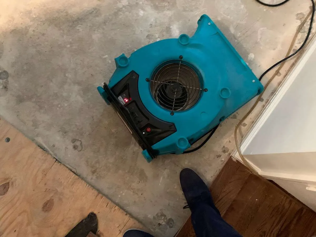 Air mover drying subfloor during Commercial Water Damage Restoration in Norfolk